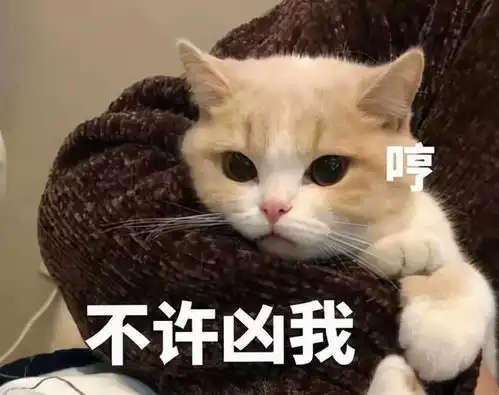 猫咪有这样的举动,只能说明你养猫失败