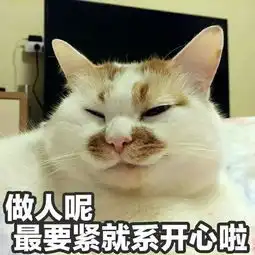 套路表情包做人呢,最紧要就系开心啦有什么不开心的看点表情包就好了