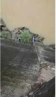 钓鱼几十年,比起他们自愧不如