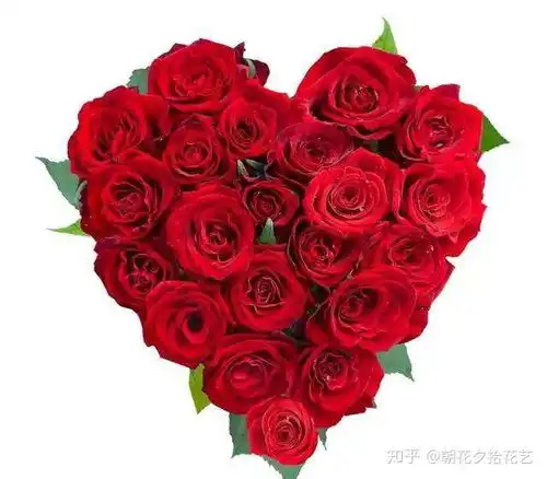 玫瑰花语情意长,爱你一生永不悔