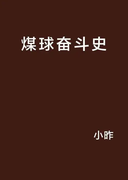 煤球奋斗史