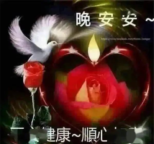 1月睡前晚安问候祝福图片带字,群发晚上好问候动画表情包