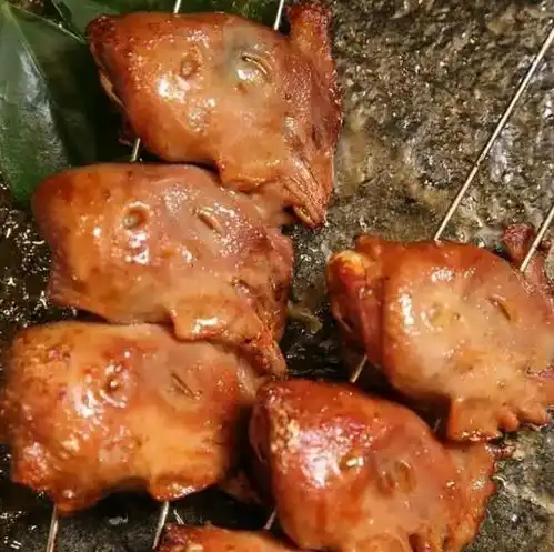 在锦州吃过烤鸡头,想去地里啄会米