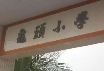 我的收藏