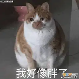 我好像胖了图片积压的工作和我表情包下载乐游网游戏下载