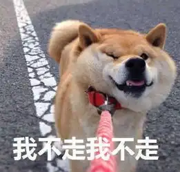 我不管我要妹子表情包