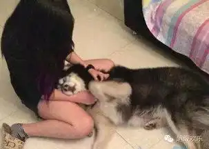 搞笑图片网购的妹子到了