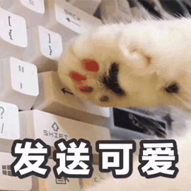 关于猫咪萌爪的8个趣味冷知识,猫爪除了卖萌还大有用处