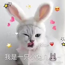 有没有那种沙雕又可爱的朋友圈文案