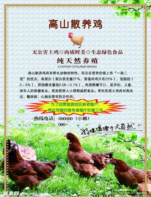 散养鸡土鸡蛋中国风水墨设计图dm宣传单