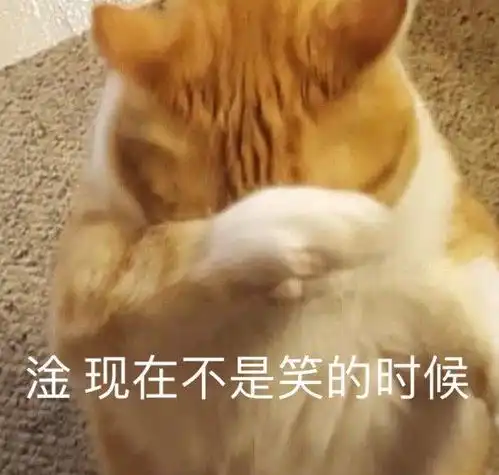 表情包你要伞吗我被淋湿也没关系哦