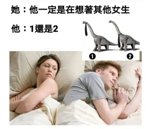 无标题