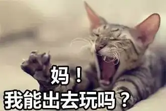 您儿女小时候的表情包,请您务必发给他她