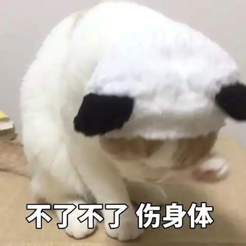 萌宠表情包不了不了,伤身体