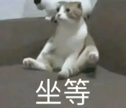 养生还是致癌揭秘藏药药王石的神秘面纱