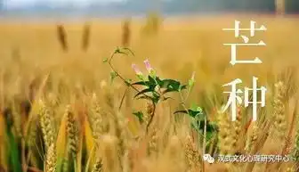 今日芒种芒种节气知识