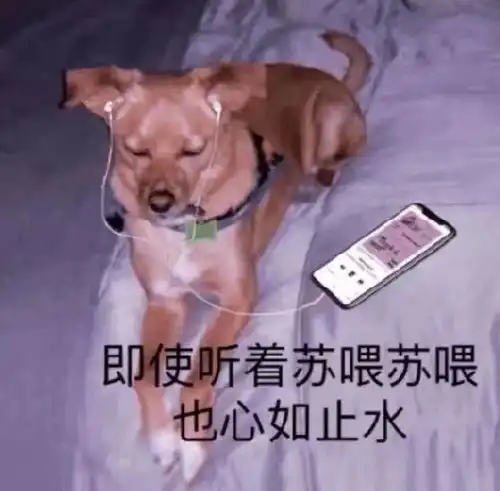 表情包只为寻找对的