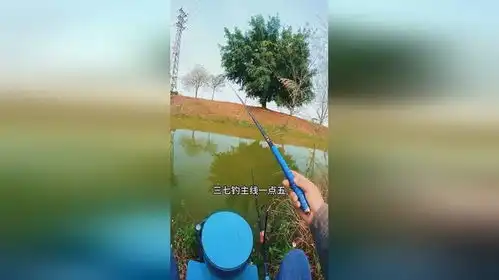 我就想做个快乐的钓鱼人能有什么坏心思,木鱼不要搞我呀野钓
