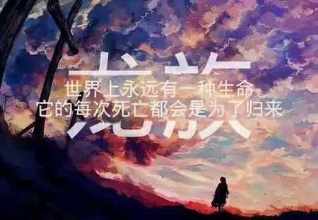 求龙族分割字图片越多越好谢谢