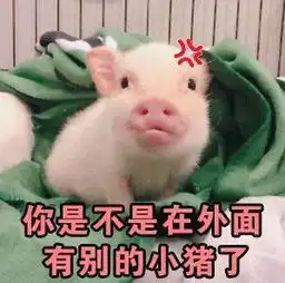 猪猪可爱表情包下载飞翔下载