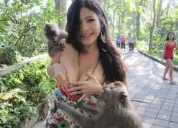 曝猴抓妹巴厘岛个人写真猴抓妹事件始末