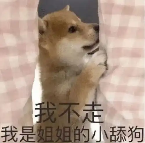 做梦题材