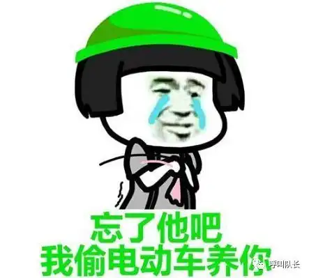 忘了他吧,我偷电瓶养你