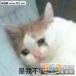 这么坚强的我哭了为什么图片不冲了不冲了杰尼龟表情包下载乐游网游戏下载
