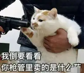 骗子你把我的思路都打乱了