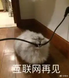 轻松一刻认真脸,90后如何才能娶到林志玲