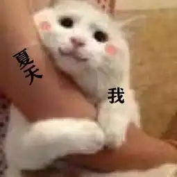 温江秋天来没有未来几天千万不要下雨,我怕你错过这么惊艳的花木博览会
