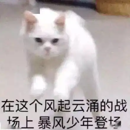 来资阳大足第一届青创先锋新锐网红活动,成为乘风破浪的资阳网红