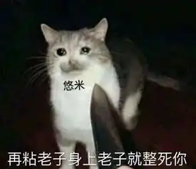 职业哥力赞悠米强度,废柴猫咪赛场翻身,排位胜率低是玩家太菜