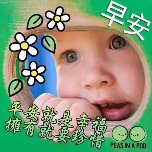 上午好新版问候图片鲜花带字,微信很暖心问候语录最新