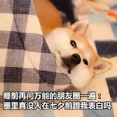 活动召集这个七夕,你做好脱单的准备了嘛