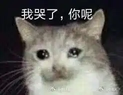 你都存了哪些沙雕表情包