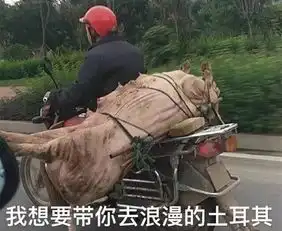 测试一个超长简介的文章