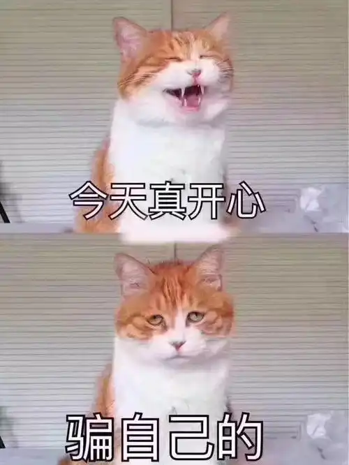 稿子写不出来的时候你们会干啥