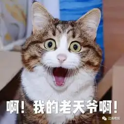 视频震惊江阴夫妻吵架后,丈夫开车当街迎面撞向妻子的