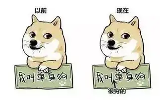 一个小编的情人节复盘为什么单身的总是你