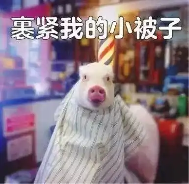 吓坏路人嫌猪不听话,司机竟在高速停车杀猪司机葩葩葩
