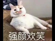 复联4超级英雄都开什么车上阵杀敌原来都是它们的功劳