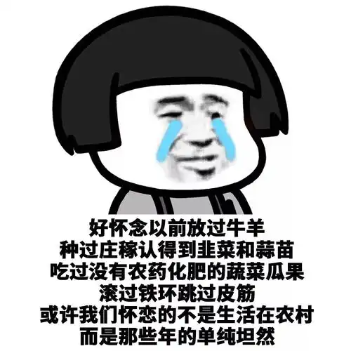 用炸毛掩饰秃头的事实
