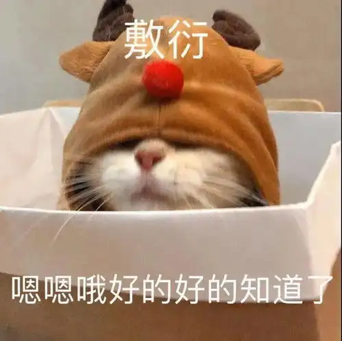 橘猫沙梨表情包