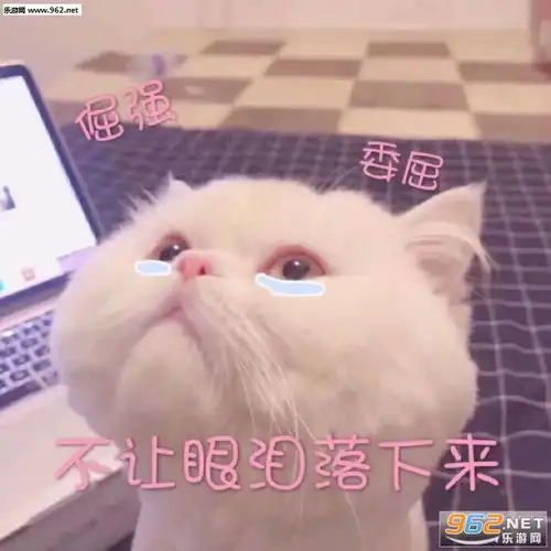 下次我一定跟你玩鸽子表情包带着微笑入睡图片表情包下载乐游网游戏下载
