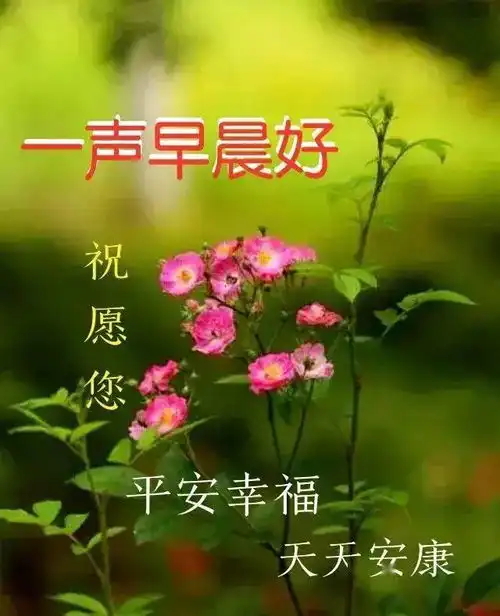 大家早上好,春暖花开,天天快乐