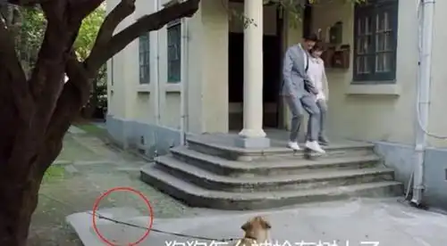 剧中那些尬性穿帮,个个都好笑,导演你就不能负责任一点吗