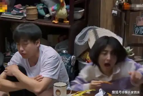 向往的生活5黄渤故意吓张子枫,妹妹被吓成表情包,艺兴哥的做法好暖心