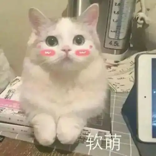 测试一个超长简介的文章