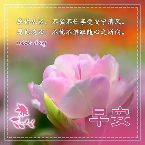 早上好问候图片,早安动态表情大全
